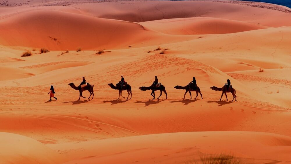 3 days fes to Marrakech desert tour