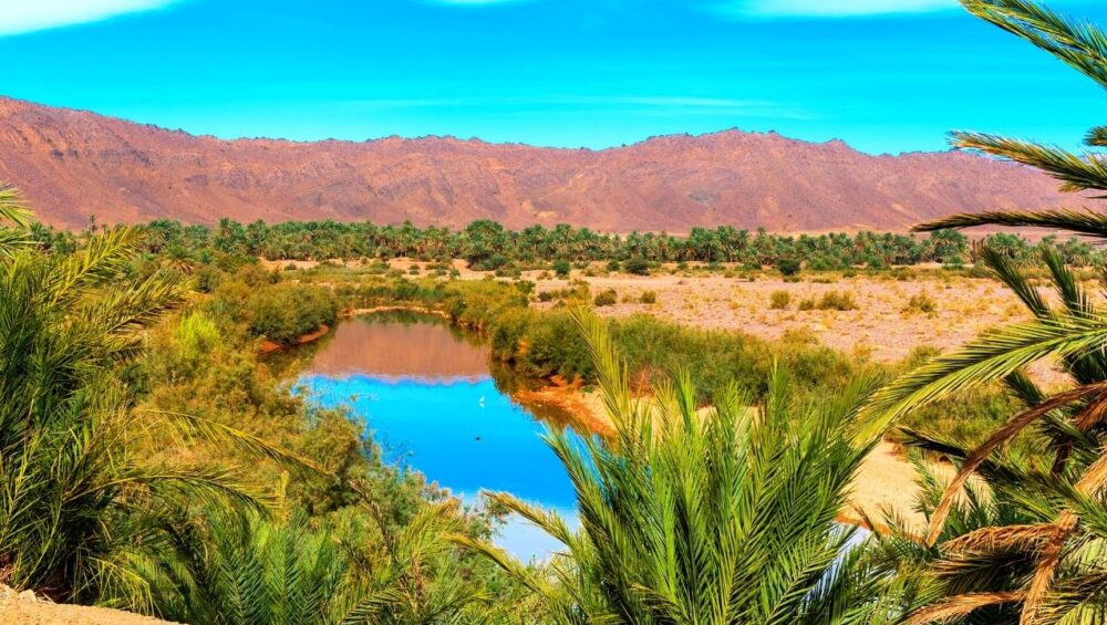 2 days marrakech to zagora desert tour